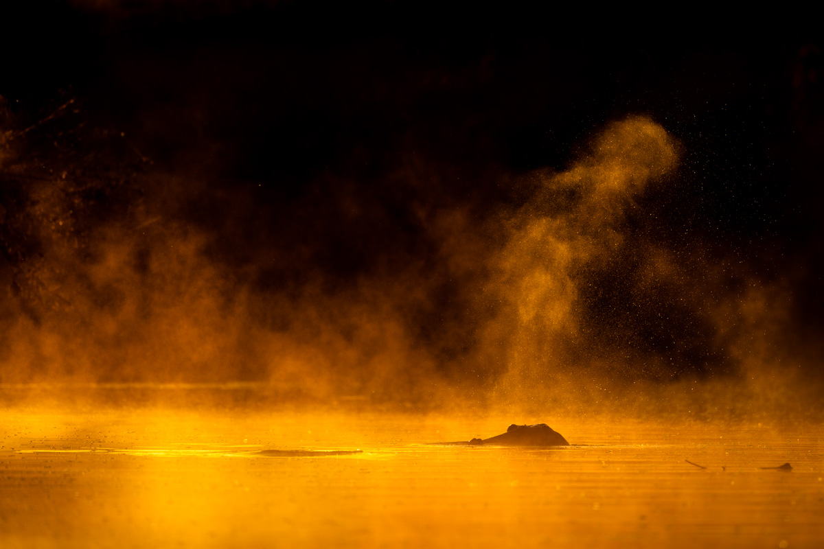 Sunset Nature