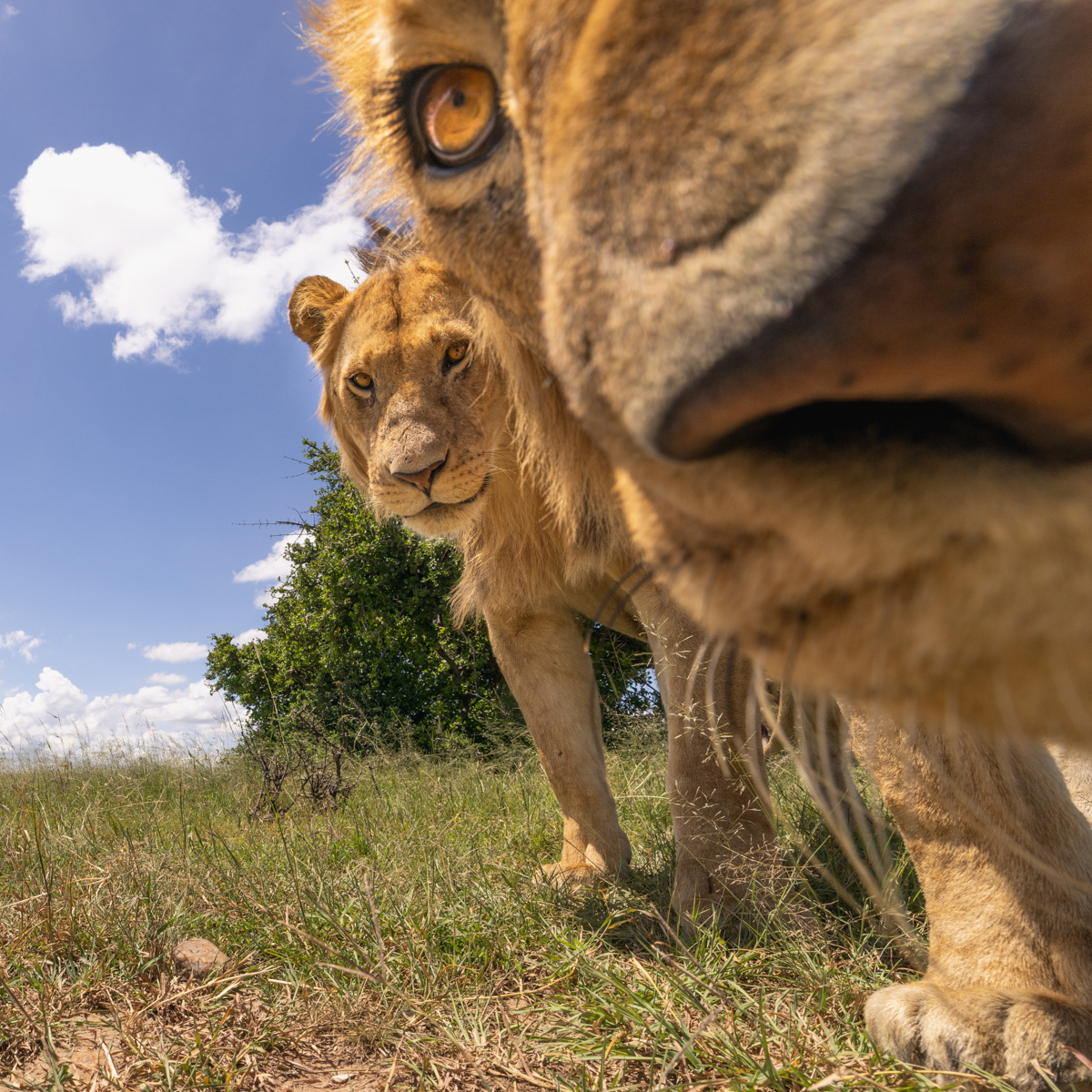 Tanzania